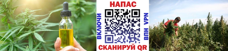 ОМГ ОМГ маркетплейс  купить наркотики цена  площадка клад  Cannafood конопля  Рославль 