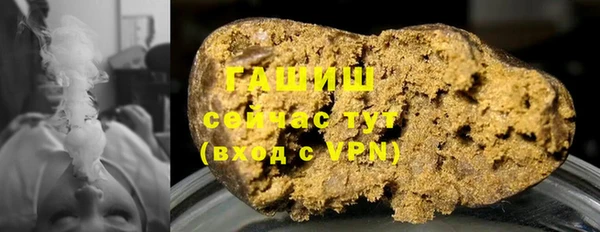 индика Коряжма