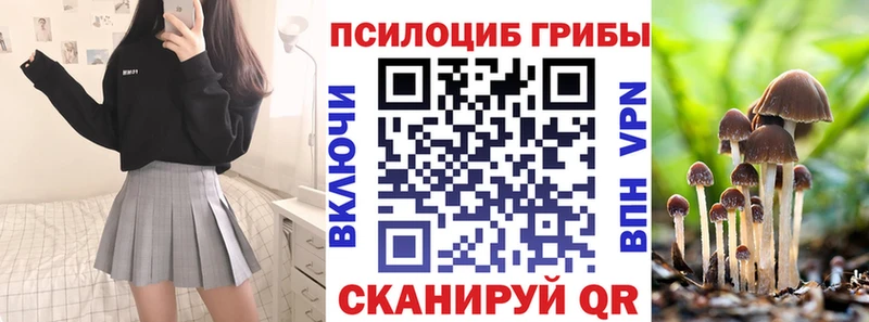 blacksprut   Рославль  Псилоцибиновые грибы мицелий 